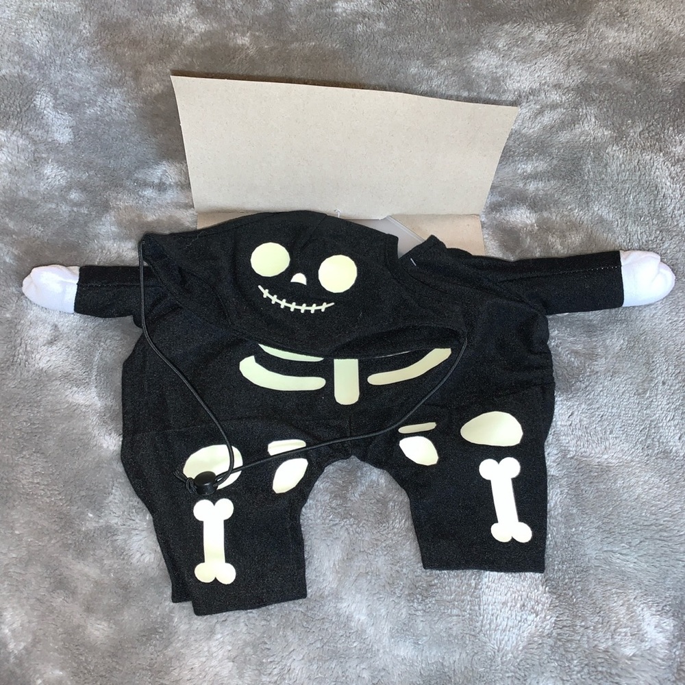 Size Medium Pet Halloween Costume Glow In The Dark Skeleton Celebrate New